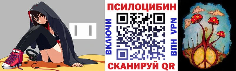 купить  сайты  Южноуральск  Галлюциногенные грибы GOLDEN TEACHER 